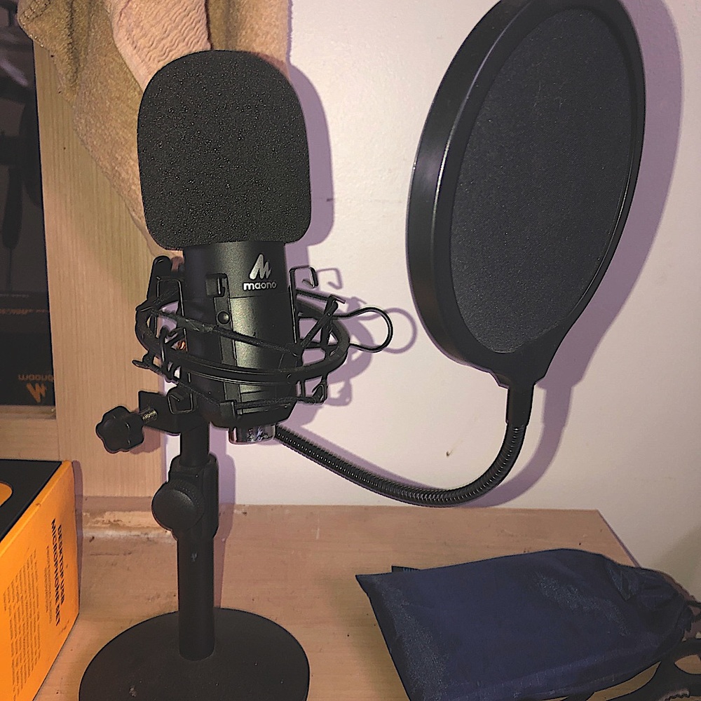 Recording mic